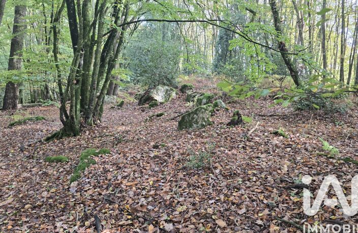 Vente Terrain 10 210 m&sup2; — photo 4