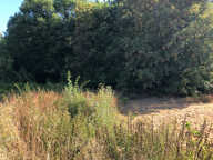   — photo 2