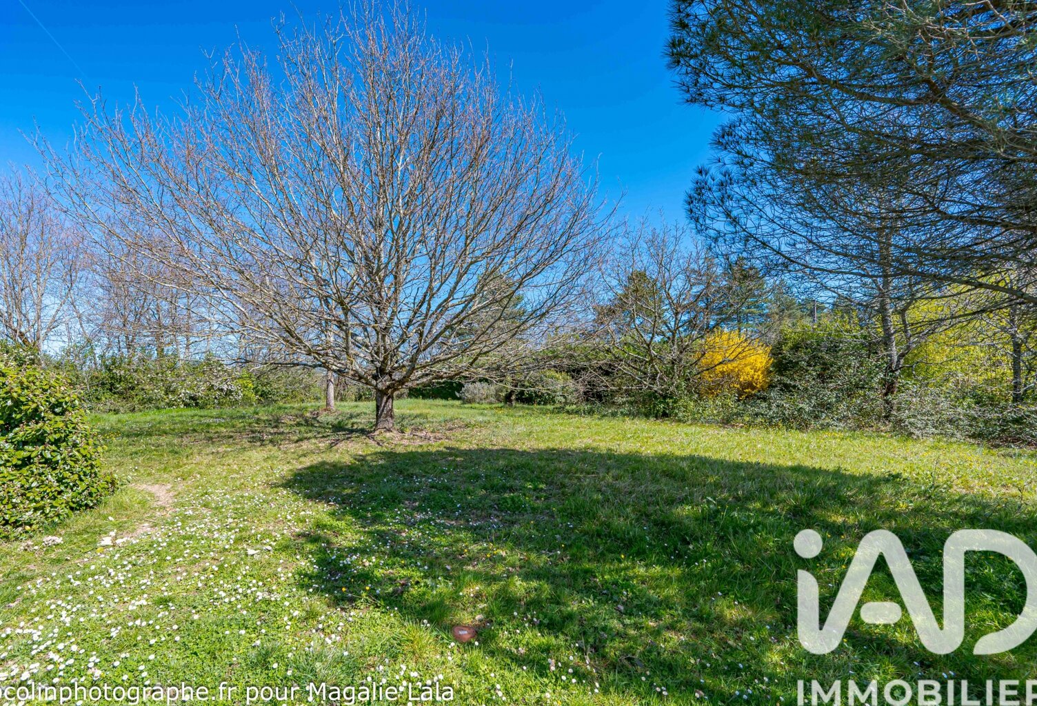 Vente Terrain à bâtir 950 m&sup2; — photo 1
