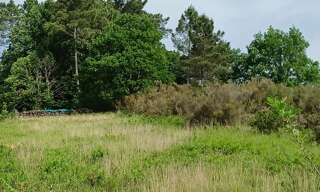 Terrain  7136 m² à vendre à Tamniès (24620)