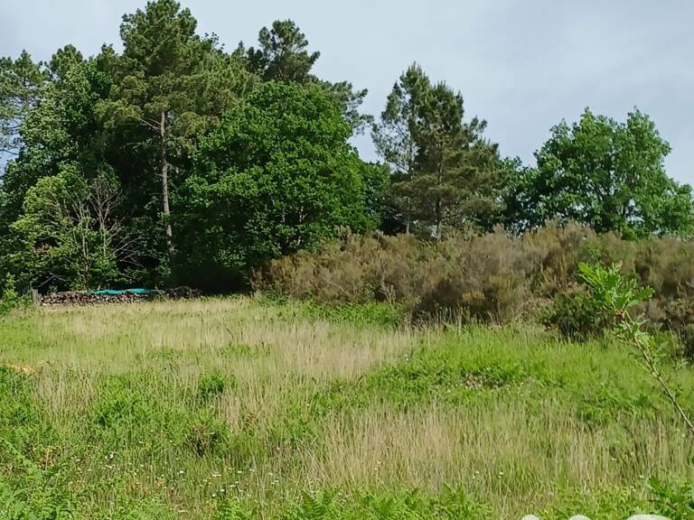 Vente Terrain à bâtir 7 136 m&sup2; — photo 1