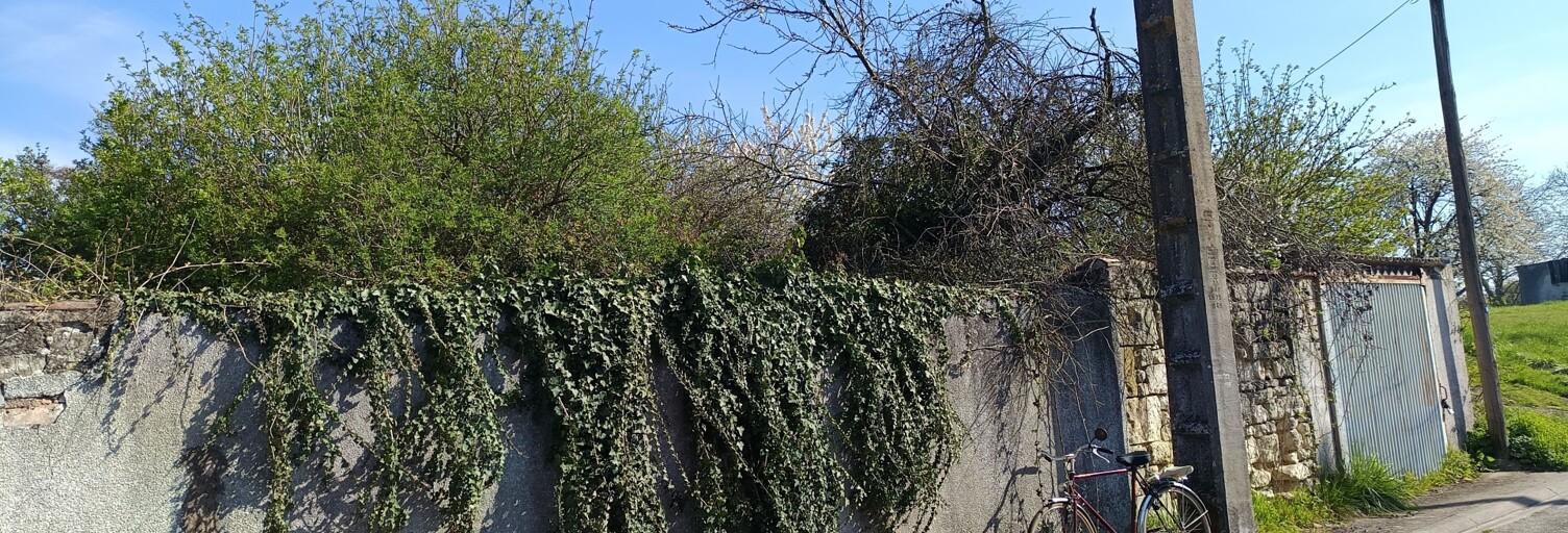 Maison 1 Pièce 16 m² à vendre à Loudun (86200)