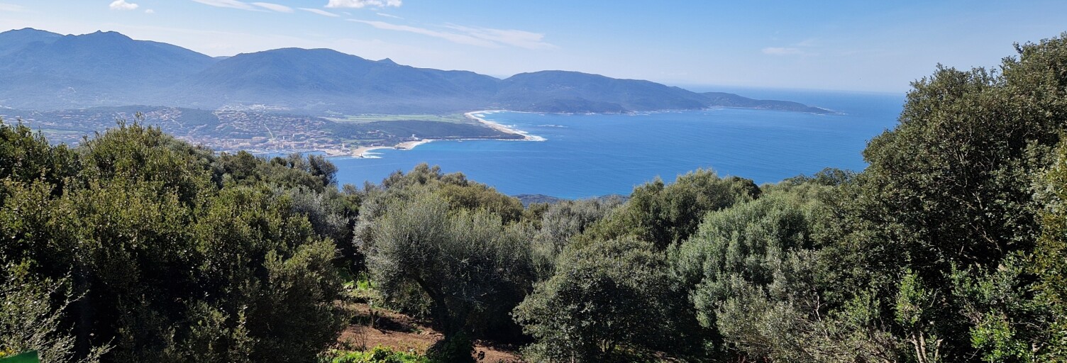 Maison 6 Pièces 153 m² à vendre à Olmeto (20113)