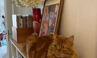 Appartement 4 Pièces 83 m² à vendre à Romainville (93230)