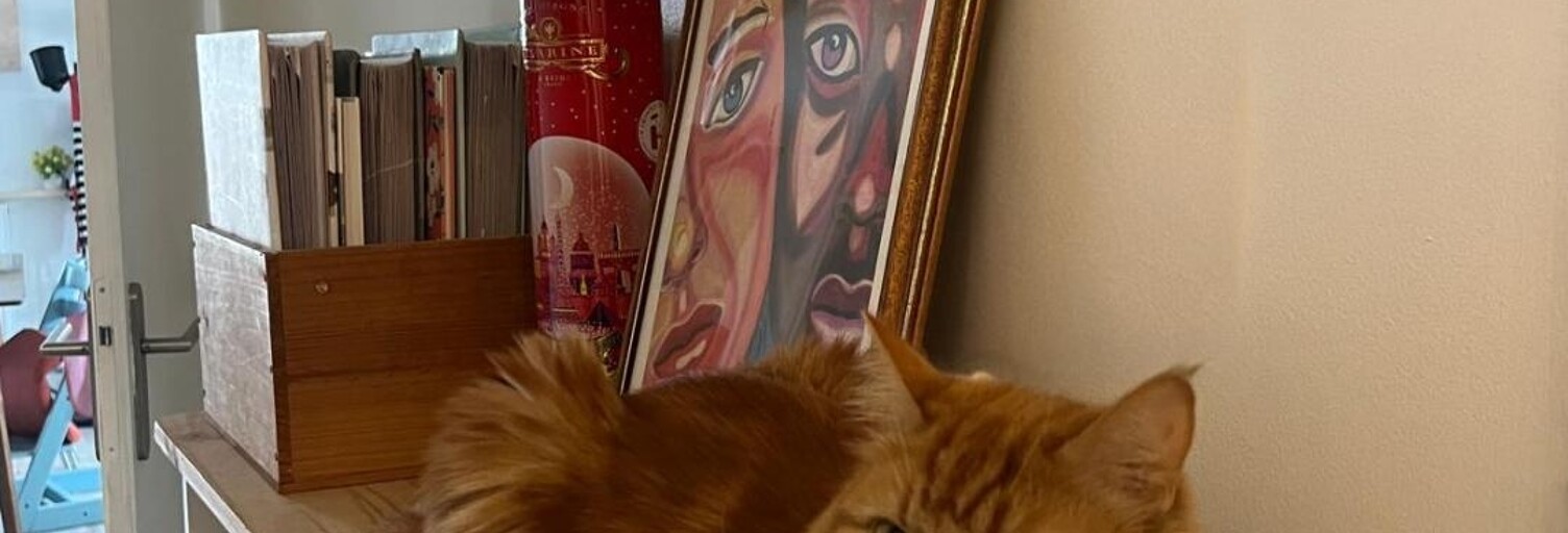 Appartement 4 Pièces 83 m² à vendre à Romainville (93230)