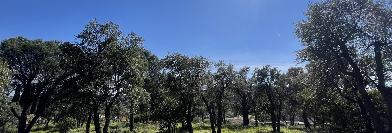 Terrain  3231 m² à vendre à Sainte-Maxime (83120)