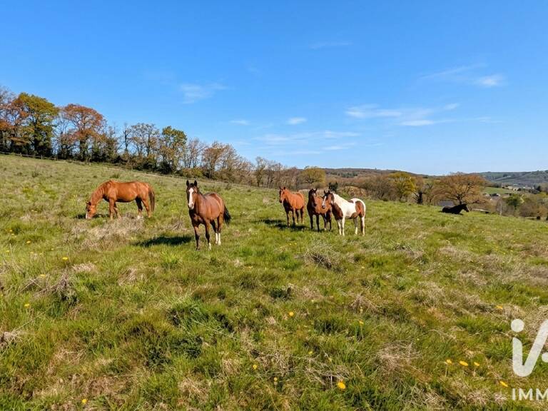 Vente Maison de campagne 3 pièces — photo 1
