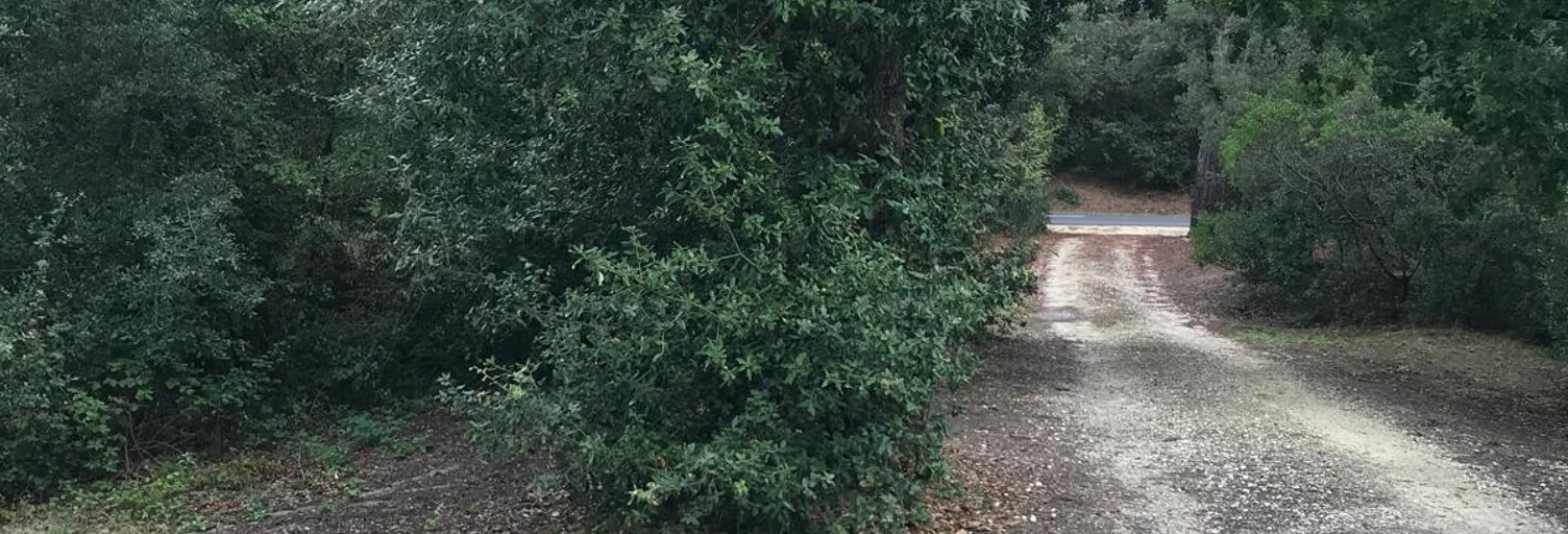 Terrain  1560 m² à vendre à Soulac-sur-Mer (33780)