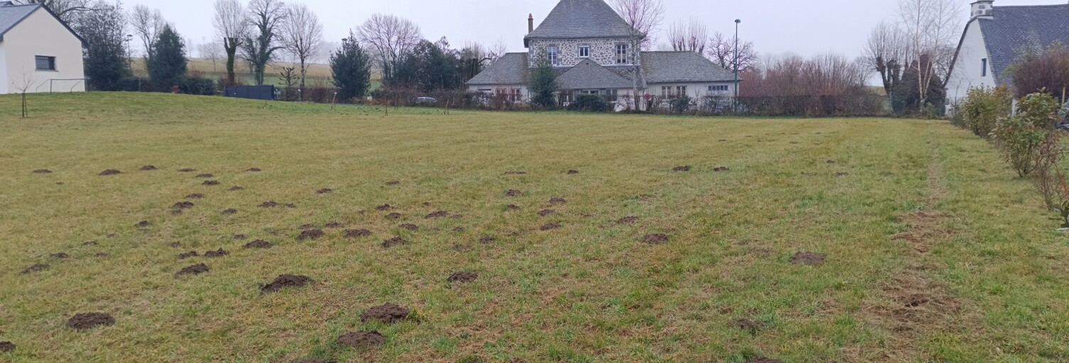 Terrain  2000 m² à vendre à Saint-Cirgues-de-Malbert (15140)