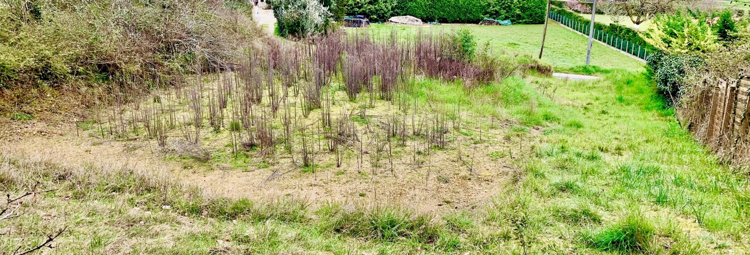 Terrain  944 m² à vendre à Neuvic (24190)