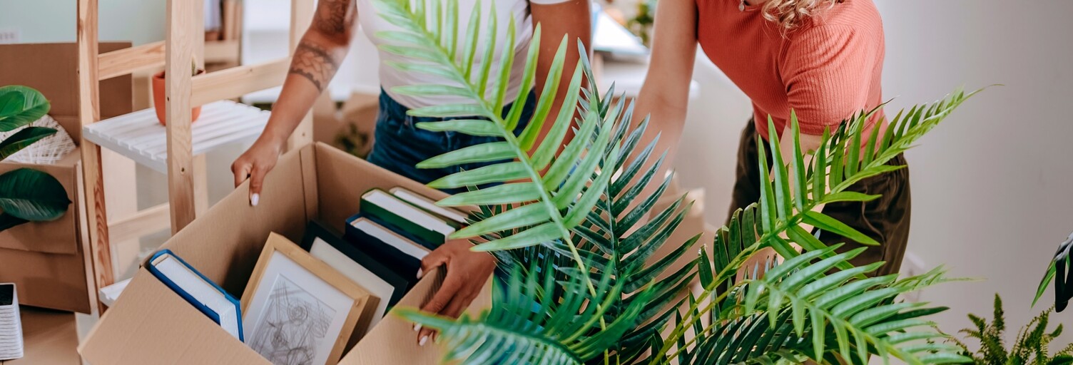 Appartement neuf T1, T2, T3 Pièce 24 à 55 m² à vendre à Montussan (33450)