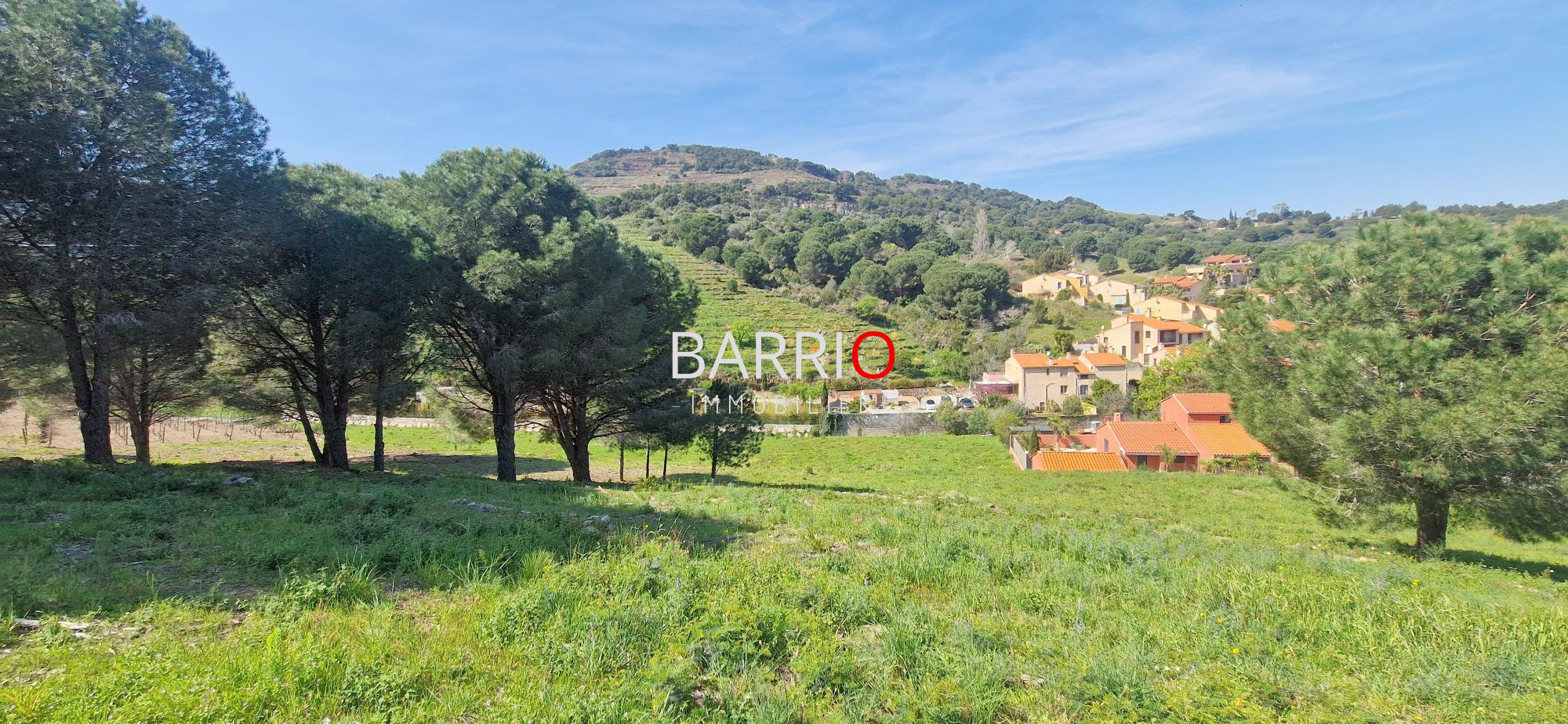 Terrain  à vendre Collioure 66190