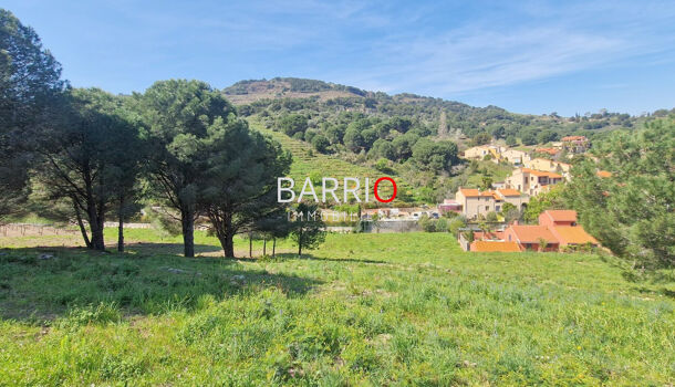 Terrain  à vendre Collioure 66190