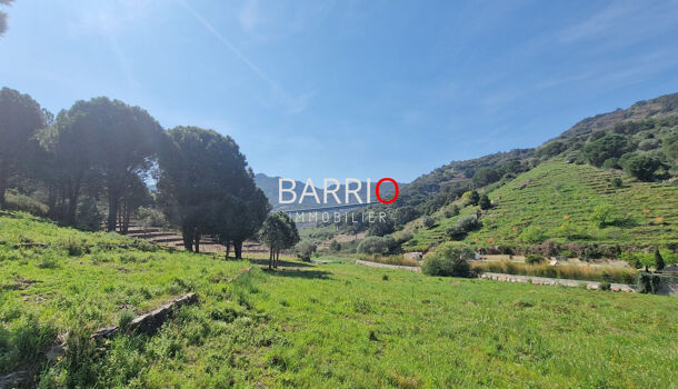 Terrain  à vendre Collioure 66190