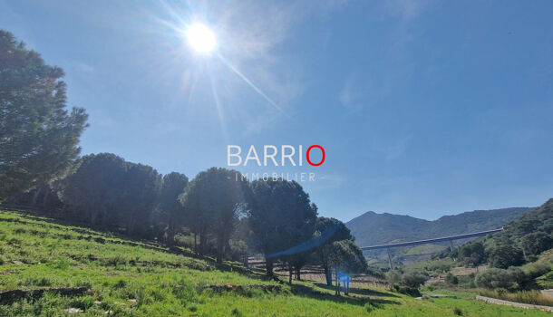 Terrain  à vendre Collioure 66190