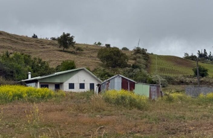 Maison ancienne - habitable immédiatement- La plaine des cafres — photo 3