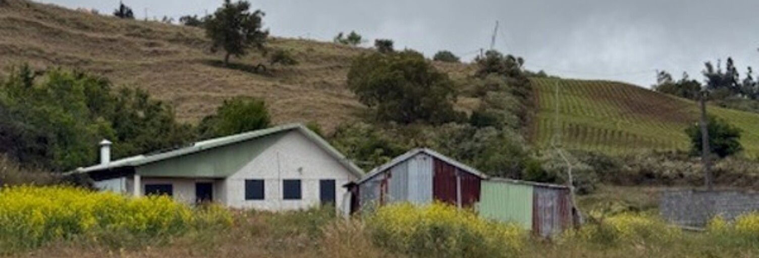 Maison 5 Pièces 127 m² à vendre à Le Tampon (97418)