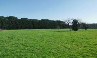 Terrain  995 m² à vendre à Coimères (33210)