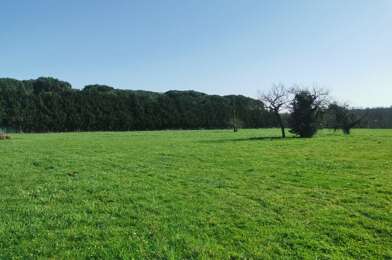 Terrain  69000 €