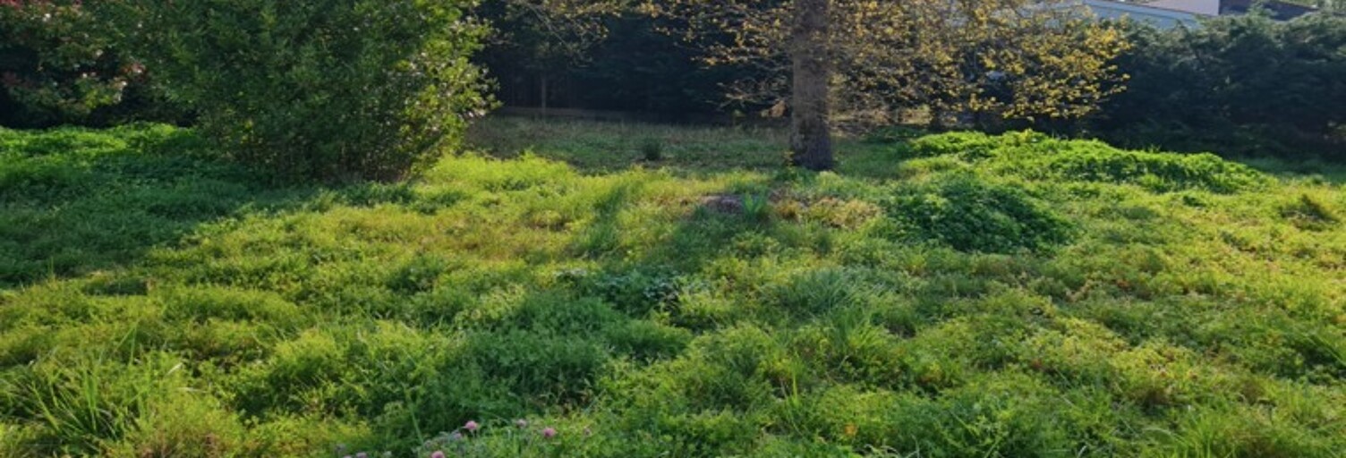 Terrain  400 m² à vendre à Breuillet (17920)