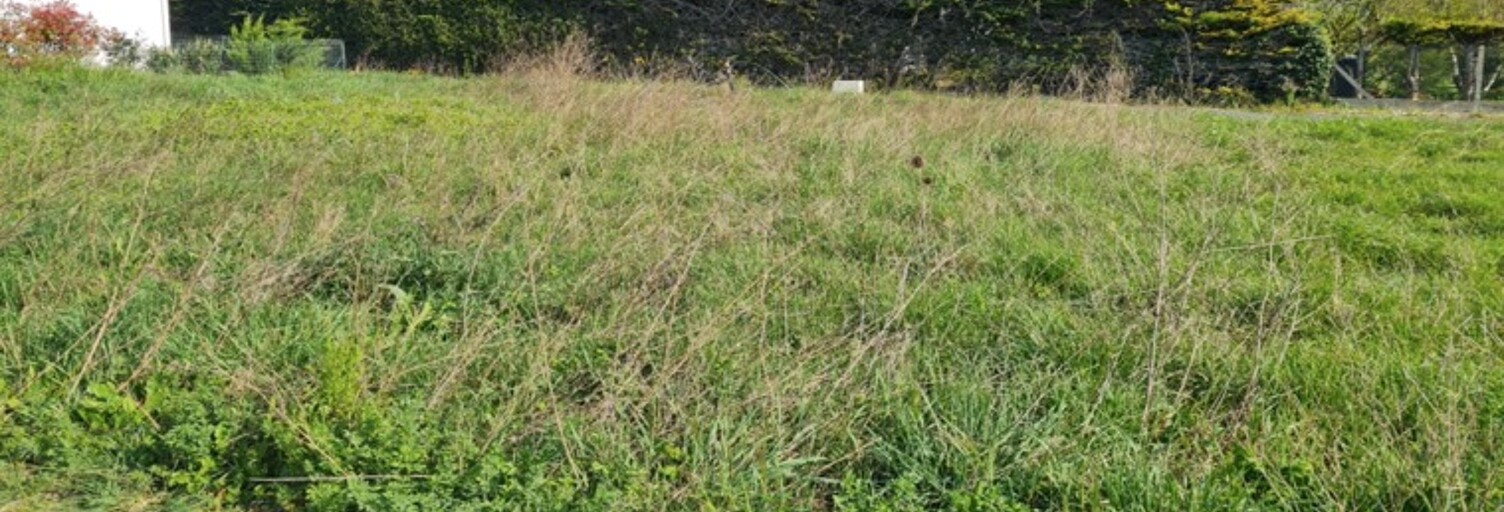 Terrain  584 m² à vendre à Royan (17200)