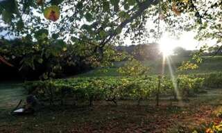 Terrain 828 m² à construire Sallebœuf (33370)