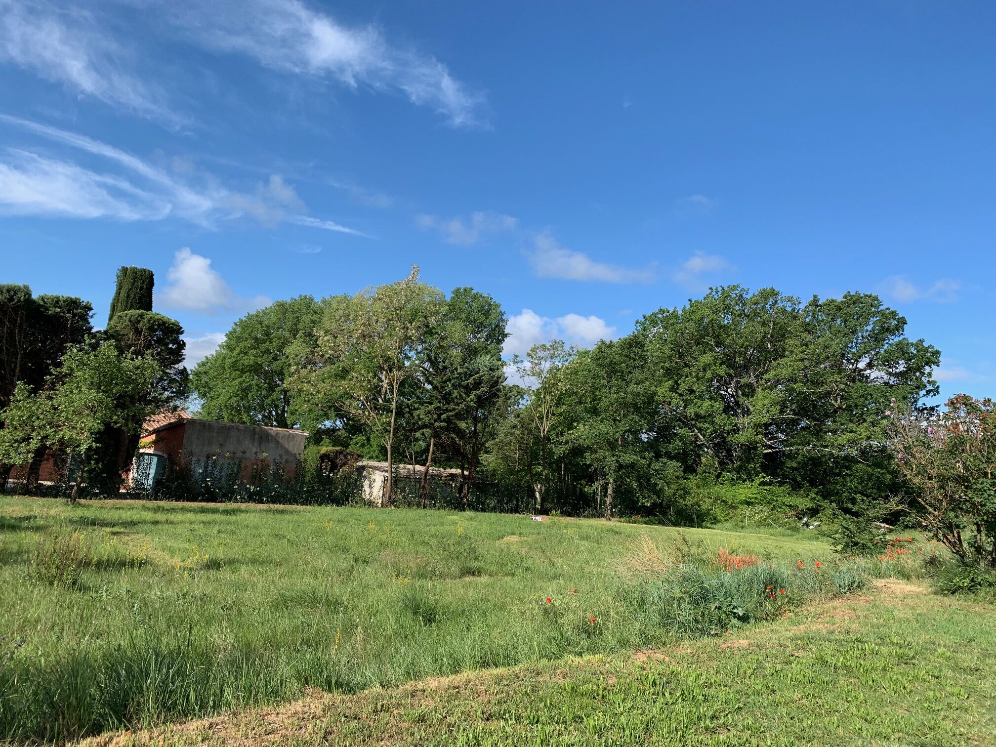 Terrain  à vendre Salernes 83690