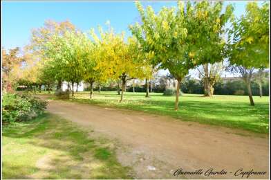 Appartement 3 pièces 219450 €