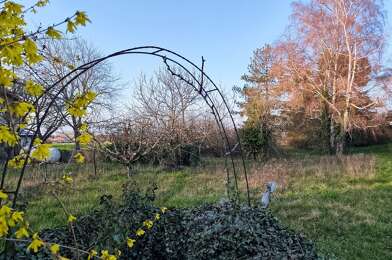 Terrain  290000 €