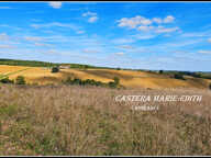 Propriete à vendre-Maison 7 pièces + bâtiments- 85,61 HECTARES  proche de VIC FEZENSAC (32) — photo 2