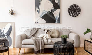 Photo N° 2