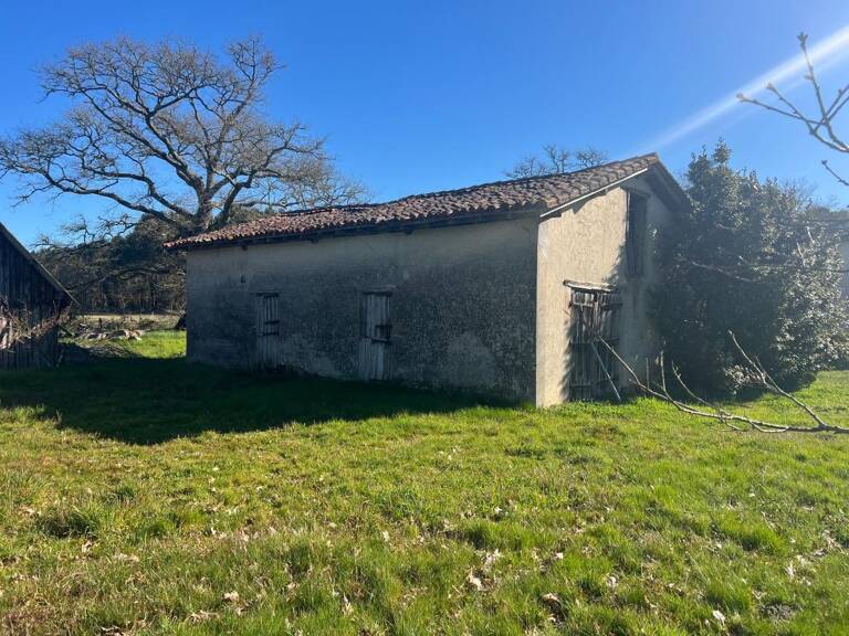Maison À Vendre — photo 1