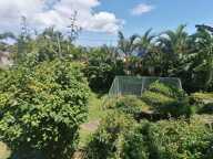 Très belle villa créole Saint-Denis La Réunion (La Montagne) 4 pièce(s) 185m² — photo 2