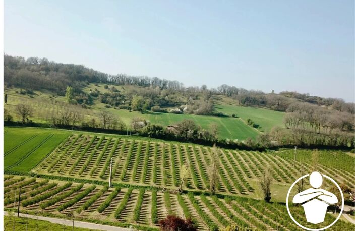 À vendre en exclusivité – Havre de paix à Clairac — photo 4
