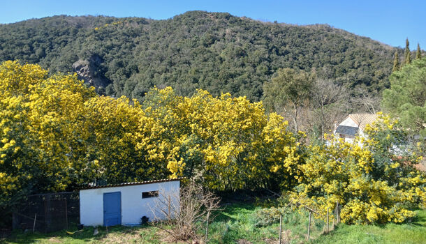 Villa / Maison 6 pièces  à vendre Reynès 66400