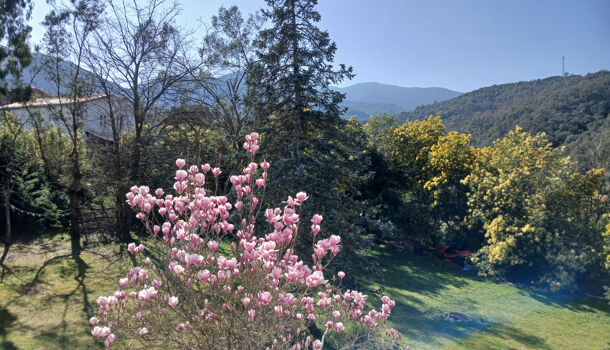 Villa / Maison 6 pièces  à vendre Reynès 66400