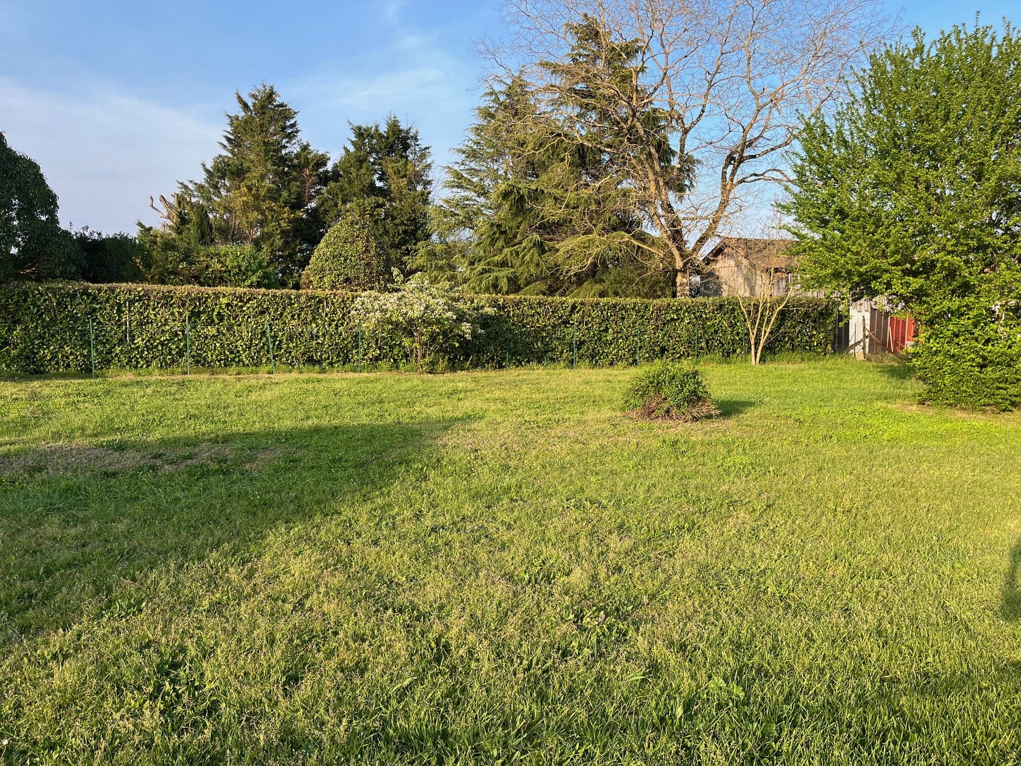 Agence immobilière de Les maisons Aura de Bergerac