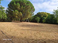 Maison L Isle Jourdain 162 m² sur 1768 m² de terrain — photo 2