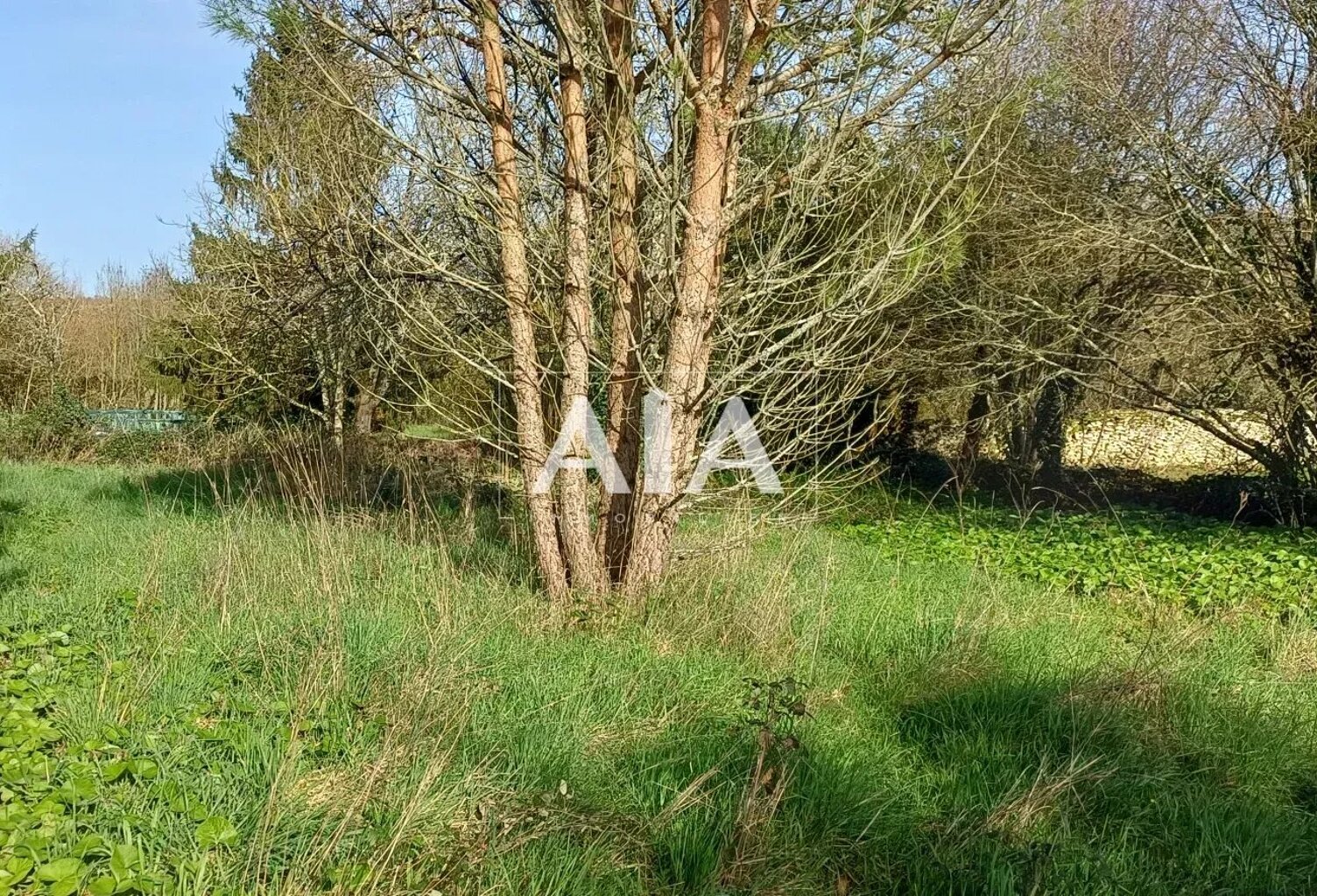 TERRAIN ET DEPENDANCES — photo 1