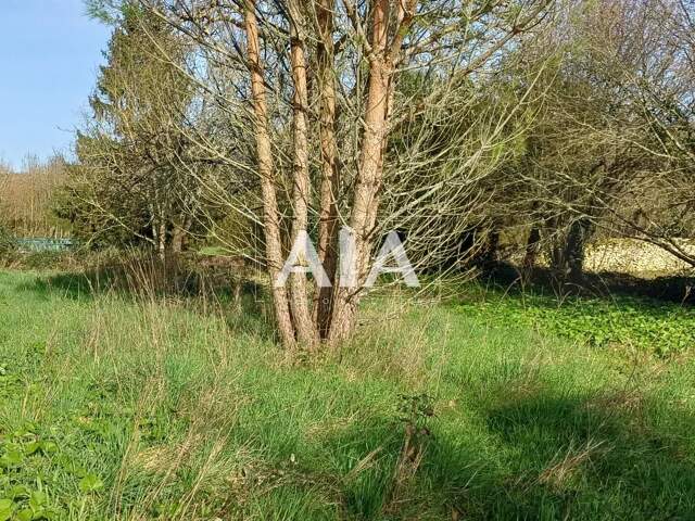 TERRAIN ET DEPENDANCES — photo du bien