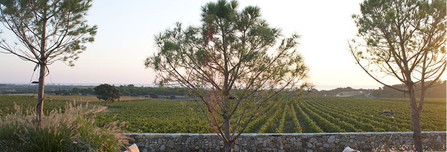 Appartement 1 Pièce 60 m² à vendre à Niederhausbergen (67207)