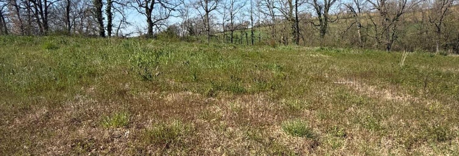 Terrain  554 m² à vendre à Lasgraisses (81300)