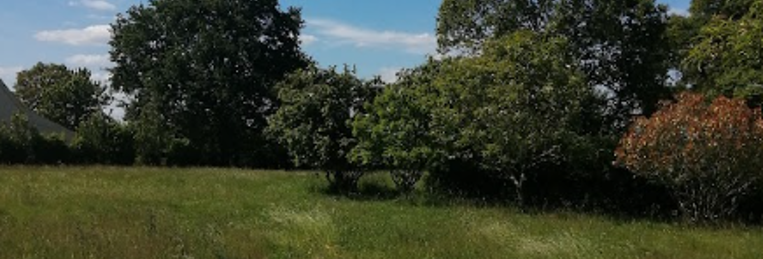 Terrain  3727 m² à vendre à Plessé (44630)