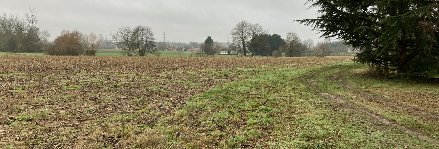 Terrain  568 m² à vendre à Mulsanne (72230)