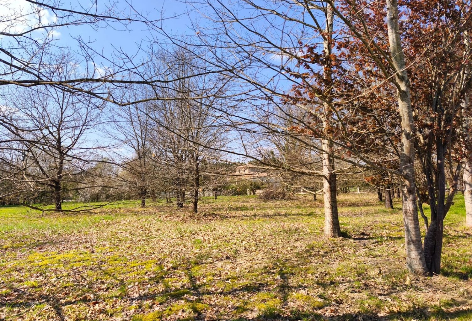 Terrain — photo 1