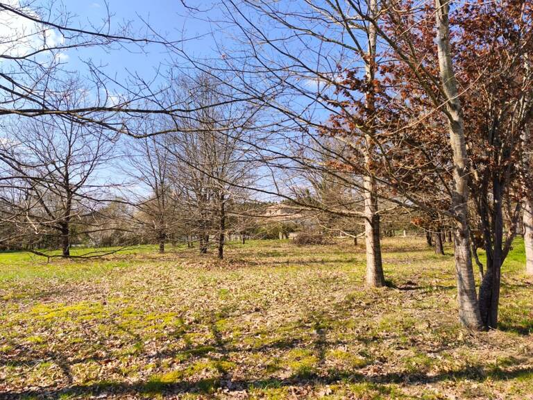 Terrain — photo 1