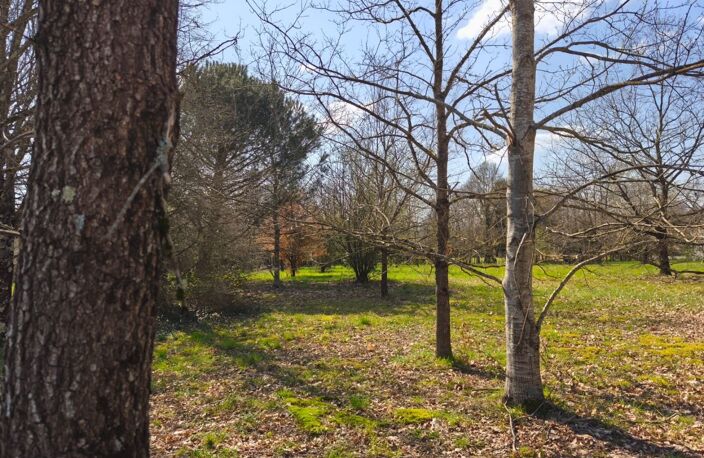 Terrain — photo 2