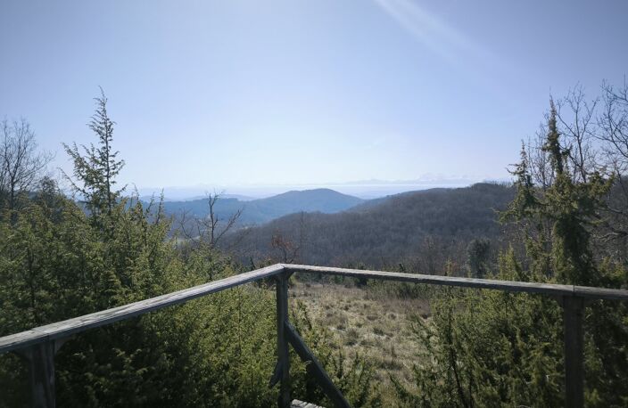 Propriété — photo 3