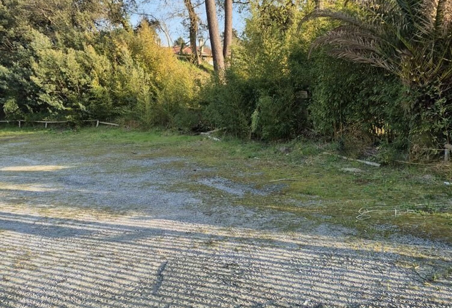 LOCAL COMMERCIAL à VENDRE — photo 1