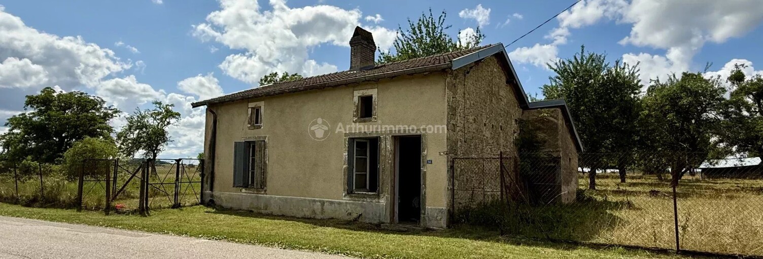 Maison 2 Pièces 120 m² à vendre à Blevaincourt (88320)